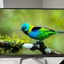 Two HP 24-inch Monitors Image 2
