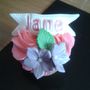 jane b