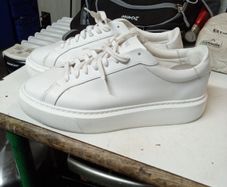 Trainers