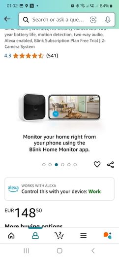 blink camera system inc 2 cameras