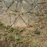indian sandstone paving set Image 5