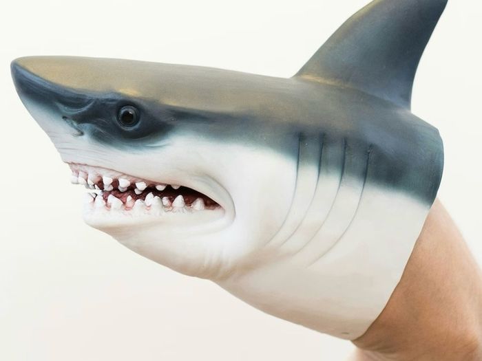 Wild Thingz Shark Hand puppet BNWOT