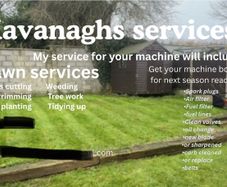 grass cutting