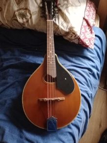 Palmer mandolin P3W  late 70s r early 80s and gigbag