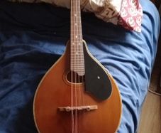 Palmer mandolin P3W  late 70s r early 80s and gigbag