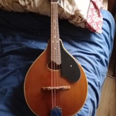 Palmer mandolin P3W  late 70s r early 80s and gigbag