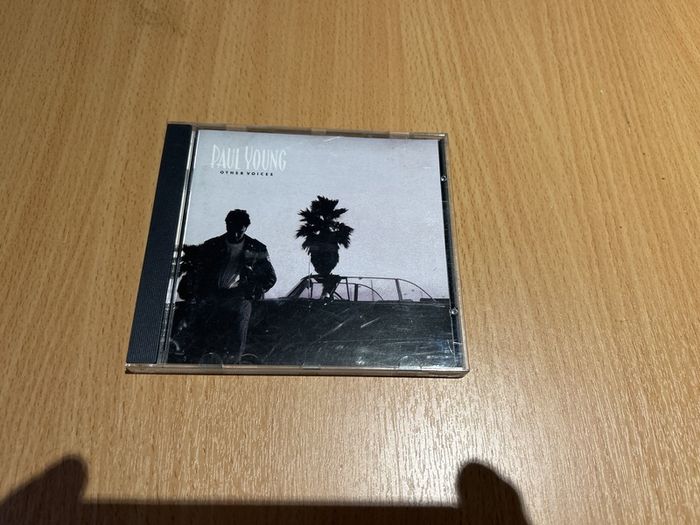 Paul Young - Other Voices