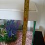Fish Tank Image 5