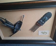 Crossbow display