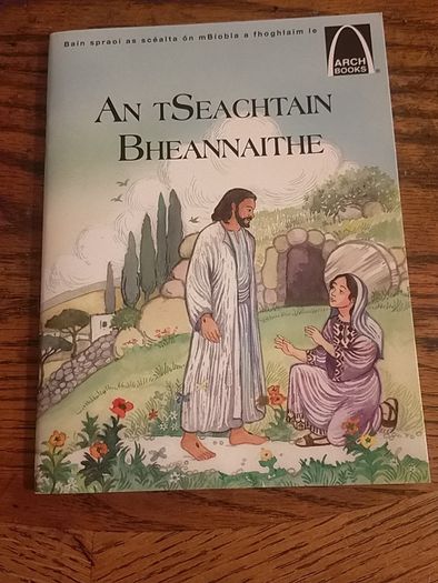 Kids Irish books individually priced