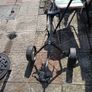 golf trolley Image 2