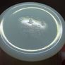 American milk white tea service, PRICE DROP Image 6