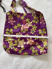 Bag in a Bag