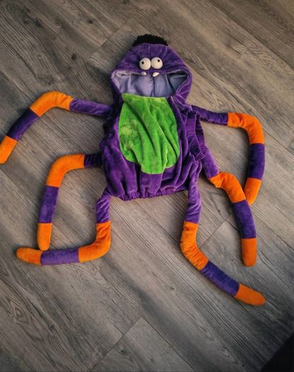 Spider costume