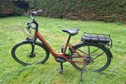 Ebike