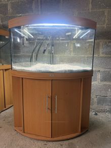 Jewell Trigon 190