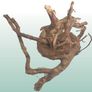 Red Moor Wood/Azalea Wood Image 6