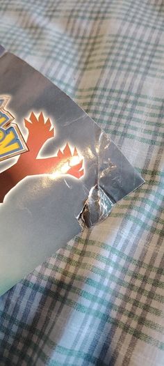 Pokemon X and Y Poster