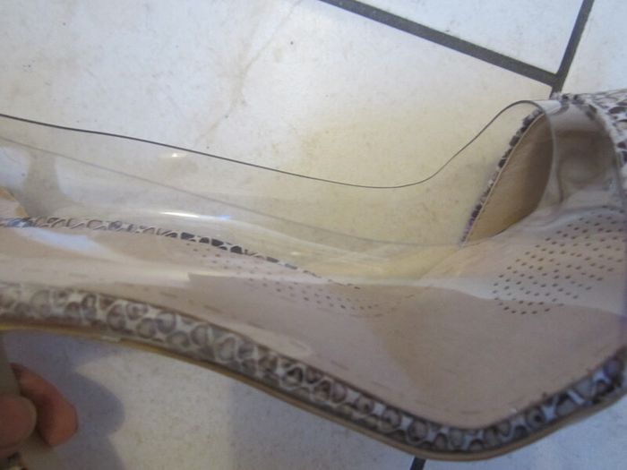 REPTILE colour    size 7