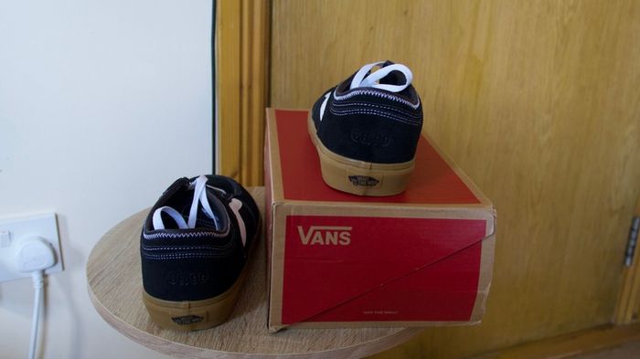 Vans Skate Shoes