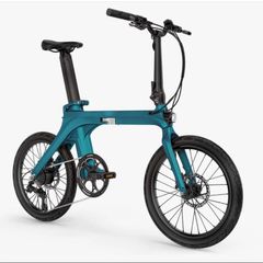Fiido X  Electric Bike