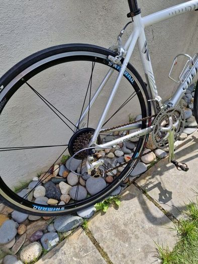 ladies bike