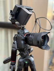 Sony Alpha 7 III + Sigma 24mm F1.4