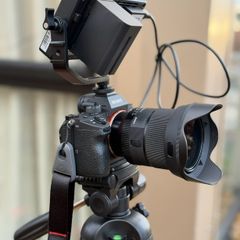 Sony Alpha 7 III + Sigma 24mm F1.4