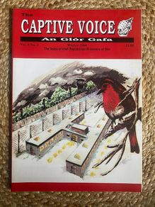 Irish Republican prisoner magazine very rare