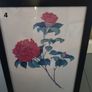 Various botanical Pictures Image 4