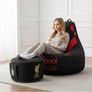 Liverpool champions bean bag Image 2