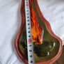 Large Handcrafted and Hand-painted TROCATTA FLEAM. Image 2