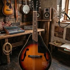 1970's Harmony Mandolin - Like new!