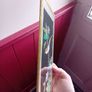 A Pair of mid century painted silk panels Image 7