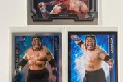 WWE Umaga trading cards lot