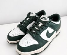 Nike Dunks Low