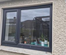 Window