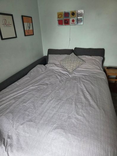 Ikea Friheten sofa bed