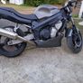 triumph Image 4