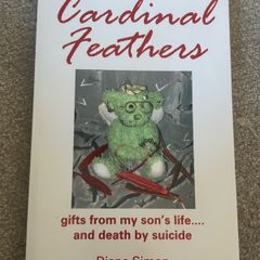 Cardinal Feathers: Gifts From My Son's Life Book