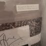 Kylie Minogue Mezzano Praline Huge King Size Bedding Set Duvet Cover Pillowcases Image 6