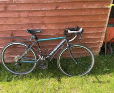 Frog 70 racer