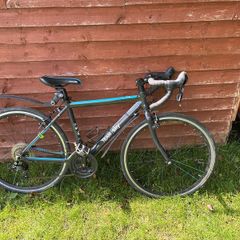 Frog 70 racer