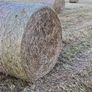 (now In Storage)world Class Hay Image 6