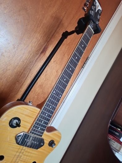 Epiphone Wildkat