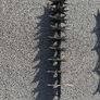 SCH Slitter, Aerator, Dethatcher - 40" Grass Care System Image 4