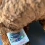 TY Bear Champion Image 2