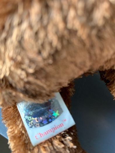TY Bear Champion