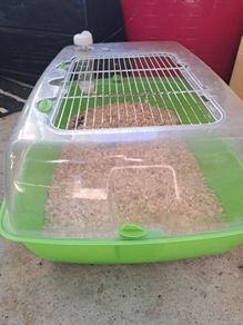 pet cage