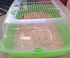 pet cage